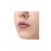 Помада для губ в стике Lips Lipstick тон 06 Beauty