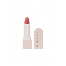 Устойчивая помада для губ Rich Nude тон 20 Stellary