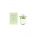 Туалетная вода Fresh женская Women'Secret